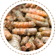 Himalayan Turmeric